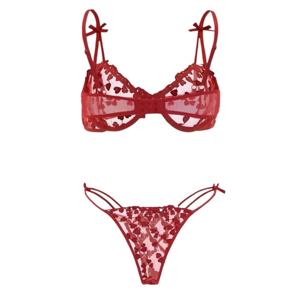 Embroidered Mesh Underwire Lingerie Set - Picture 3 of 7